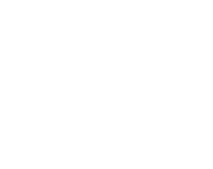 ECAM_logoblanco
